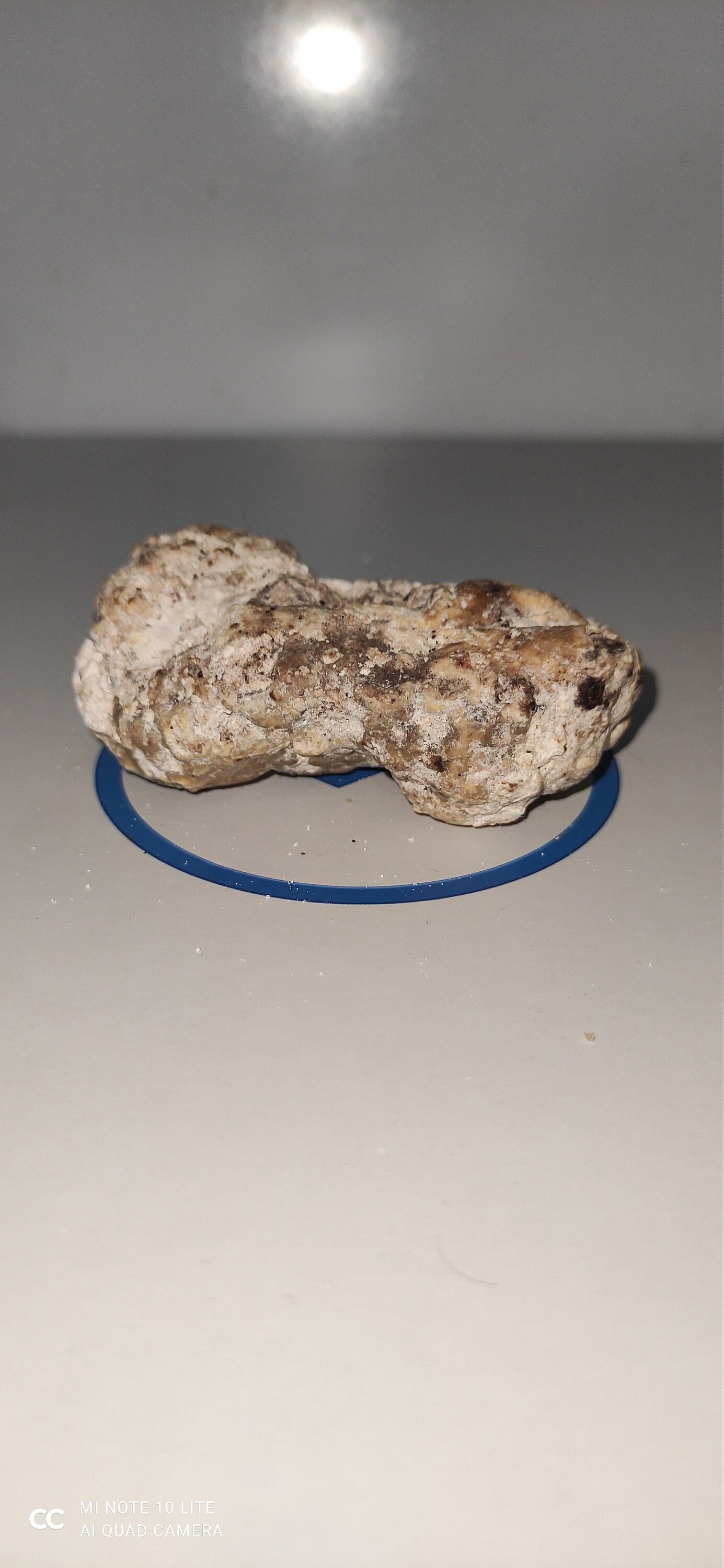 Ambergris white excellent dense quality full 28 grams Etsy