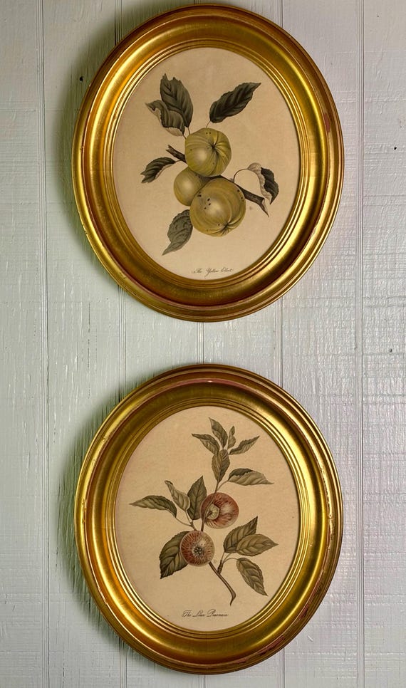 Vintage Framed Oval Prints of Apples in Gold Leaf Wood Frames (2)