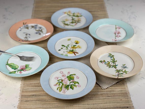 Haviland &Co Limoges Hand Painted Botanical Porcelain Dessert Plates (7)