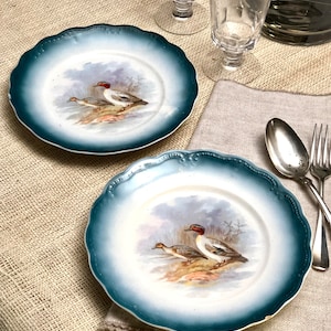 Sterling China  Water Fowl Decorative Plates (2)