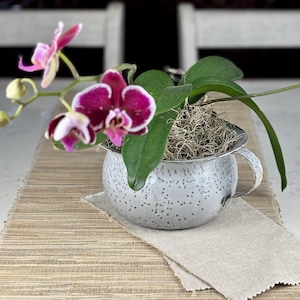 May include: A pink and white orchid plant in a white speckled ceramic pot with a handle. The pot is sitting on a brown woven placemat.