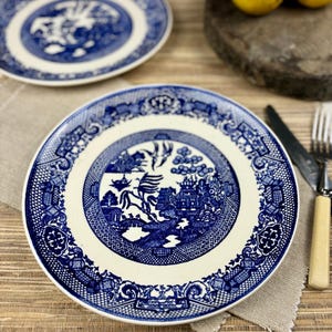 Willow Ware by Royal China 9”inch Dinner Plates (2)