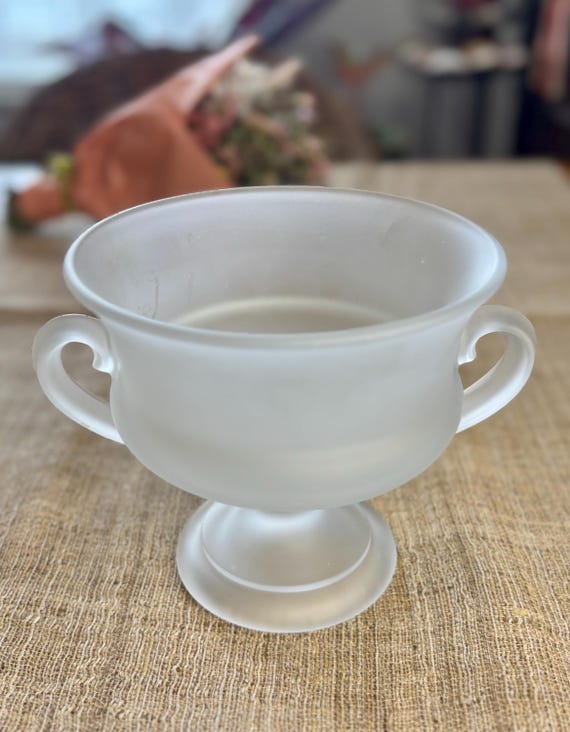 Footed Frosted Glass Urn Fruit Bowl Vase with Handles