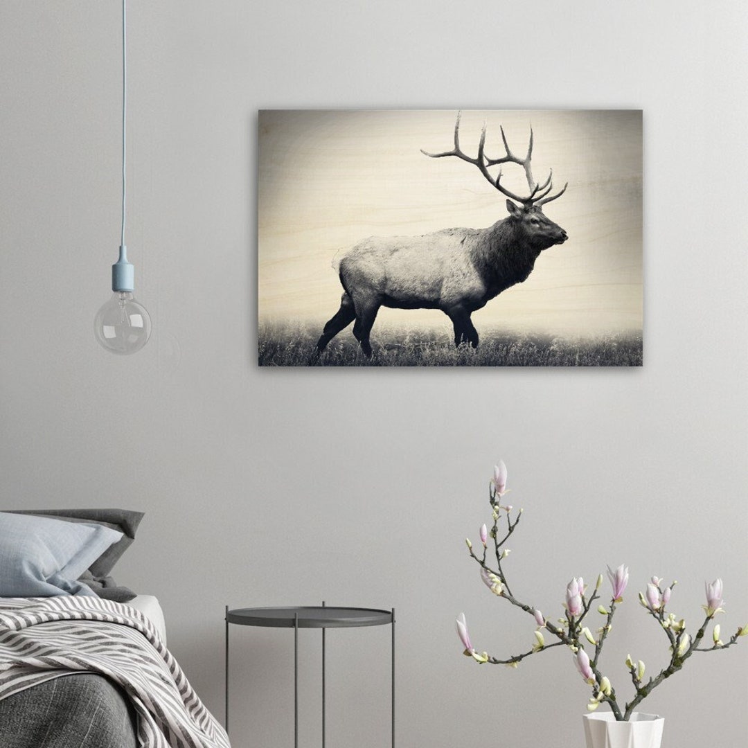 Black and White Elk Photography. Elk Wood Print. Elk Art Etsy