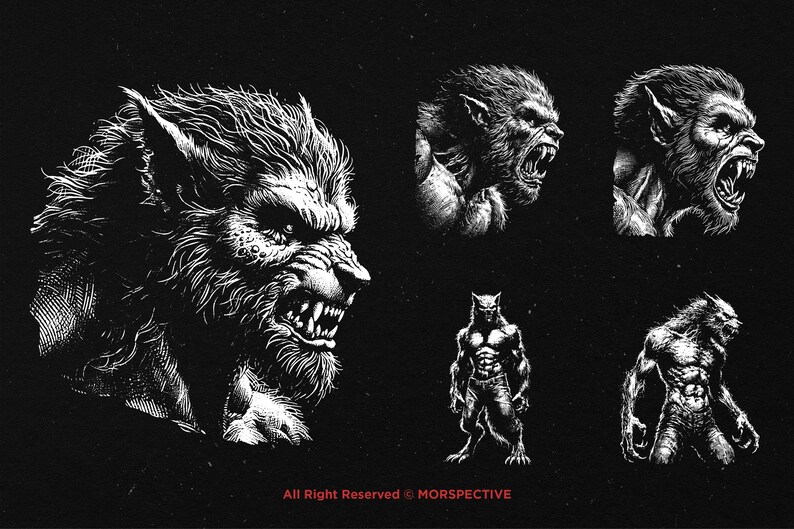 May include: Black and white illustration of five different werewolf figures in various poses. The werewolves have sharp teeth and claws, and their fur is detailed.