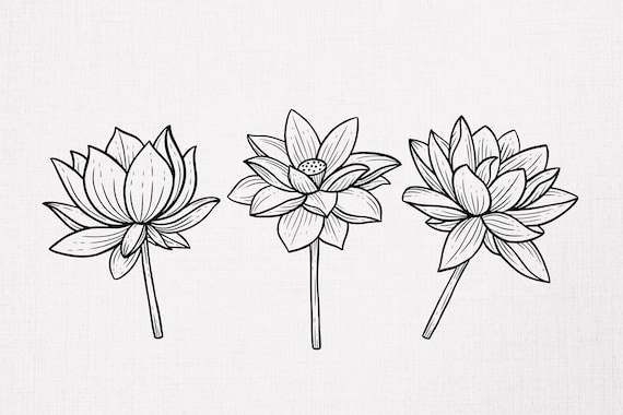 15 セット バンドル 蓮の花の線画 リラックス 瞑想 細かい手描きの花の