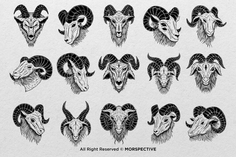 May include: A collection of 15 black and white illustrations of ram heads with different horn shapes and styles. The illustrations are drawn in a detailed and realistic style.