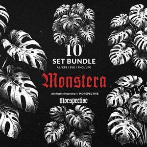 große monstera stützen Monstera deliciosa XXL | Online kaufen