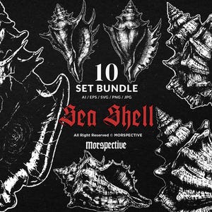 May include: A black and white illustration of ten different sea shells. The image includes the text "10 SET BUNDLE" and "Sea Shell" in a gothic font. The image is labeled "All Right Reserved © MORSPECTIVE".