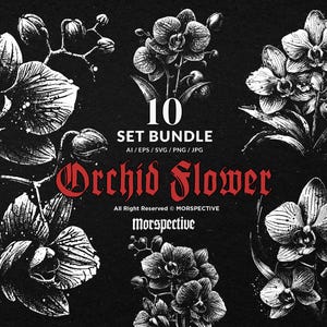 10 Bundle Dark Art Orchid Flower Tropical Floral Botanical Hand Drawn Tattoo Clipart Digital File Vector Ai / Eps / Svg / Png illustration