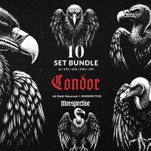 Może przedstawiać: Zestaw czarno-białych ilustracji kondorów, przedstawiających szczegółowe wizerunki ptaków. Obraz zawiera tekst "10 SET BUNDLE" i "Condor". Dostępne formaty AI, EPS, SVG, PNG i JPG.