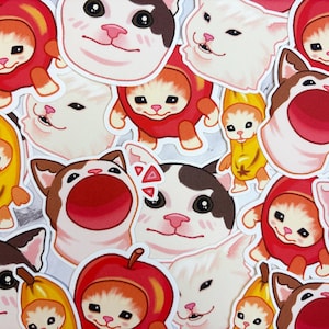 Meme Cat Vinyl Stickers