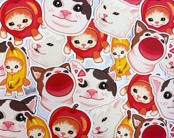 Meme Cat Vinyl Stickers