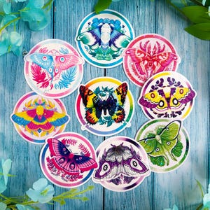 Moth Pride Vinyl Holographic Waterproof Stickers