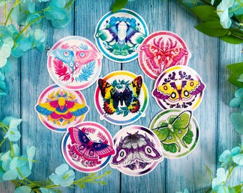 Moth Pride Vinyl Holograficzne Wodoodporne Naklejki
