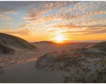 Coastal Sand Dunes Sunset Canvas Print -  Beach House Decor,  California Wall Art