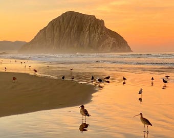 Morro Rock Sunrise with Birds Canvas Print: Central Coast California Wall Art