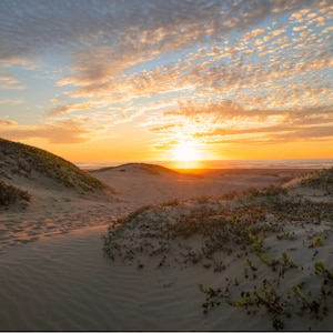 Téléchargement d&#39;impression numérique | Coucher de soleil depuis les dunes de la plage Photo | Décoration de plage | Art mural côtier
