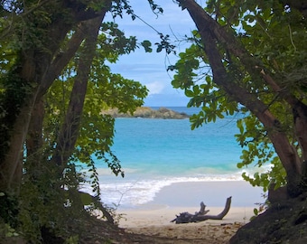 Tropical Beach Portal Canvas Print - Hawaiian Seascape Wall Art, Framed Ocean View Through Trees, Exotic Island Decor