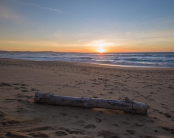 Monterey Coastal Driftwood Sunset Canvas Print - Central California Coast Wall Art