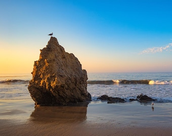Malibu Seagull at Sunrise Canvas Print | California Beach Wall Art, Coastal Bird Photography, Golden Hour Sea Stack, Nautical Home Decor