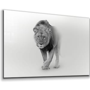 Lion Tempered Glass or Canvas Printing Wall Art , Natural And Vivid Wall Decor , Modern Wall Art, Extra Large Wall Art