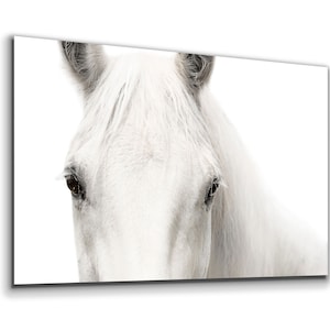 Tempered Glass Wall Art / Canvas Wall Art / Wall Decor / Glass Printing  / Large Wall Art / Wall Hangings / Window Decor