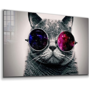 Cool Cat Tempered Glass or Canvas Printing Wall Art , Natural And Vivid Wall Decor , Modern Wall Art, Extra Large Wall Art