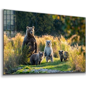 Bear Family Tempered Glass or Canvas Printing Wall Art , Natural And Vivid Wall Decor , Modern Wall Art, Extra Large Wall Art