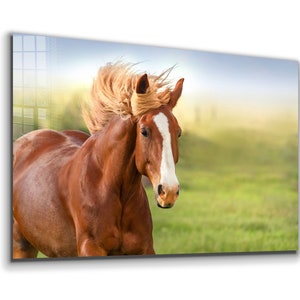 Tempered Glass Wall Art / Canvas Wall Art / Wall Decor / Glass Printing  / Large Wall Art / Wall Hangings / Window Decor