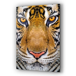 Tiger Tempered Glass Large Wall Art Decor, Wall Hangings, Colorful Paintings and Prints for Living Room, Office Wall Art