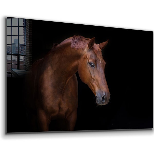 Brown Horse Tempered Glass or Canvas Printing Wall Art , Natural And Vivid Wall Decor ,  Extra Large Wall Art