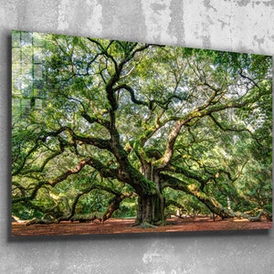 Angel Oak Tree Tempered Glass or Canvas Printing Wall Art  , Modern Wall Art, Extra Large Wall Art