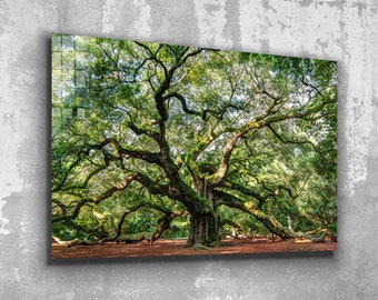 Angel Oak Tree Tempered Glass or Canvas Printing Wall Art  , Modern Wall Art, Extra Large Wall Art