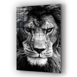 Tempered Glass Wall Art / Canvas Wall Art / Wall Decor / Glass Printing  / Large Wall Art / Wall Hangings / Window Decor