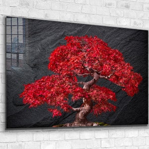 Red Maple Bonsai Tree Tempered Glass or Canvas Printing Wall Art , Natural And Vivid Wall Decor , Modern Wall Art, Extra Large Wall Art