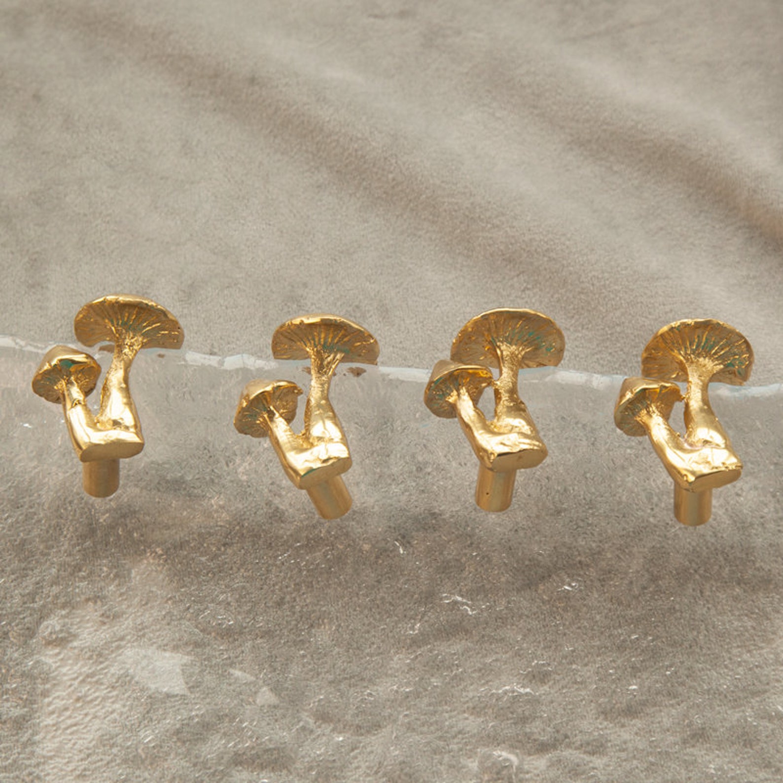 Mushroom Brass Knobs and Pullsplant Mushroom Drawer Etsy
