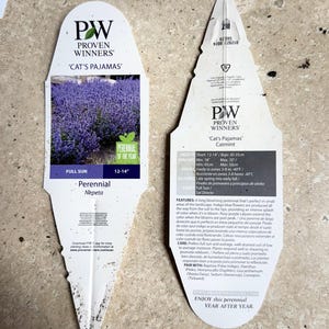 K&ouml;nnte beinhalten: Ein Pflanzen-Etikett f&uuml;r 'Cat's Pajamas' Katzenminze, eine mehrj&auml;hrige Blume, die 30-36 cm hoch wird. Das Etikett ist wei&szlig; mit blauem Text und einem Bild der violetten Bl&uuml;ten. Das Etikett enth&auml;lt auch Informationen &uuml;ber die Pflege der Pflanze, wie z. B. ihre Winterh&auml;rtezonen und Lichtanforderungen.