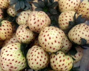 Könnte beinhalten: Nahaufnahme einer Gruppe weißer Erdbeeren mit roten Kernen. Die Erdbeeren sind in einem Korb angeordnet und von grünen Blättern umgeben.