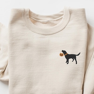 Embroidered Sweatshirt, Halloween Dog Shirt, Black Labrador, Embroidery Design Dog, Labrador Retriever Shirt, Labrador Mom Gift, Unisex