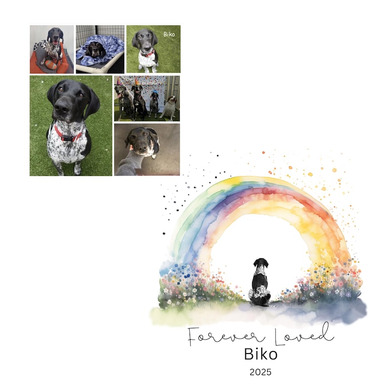 Personalized Pet Memorial Wall Art From Photo Rainbow Bridge Custom Dog ...