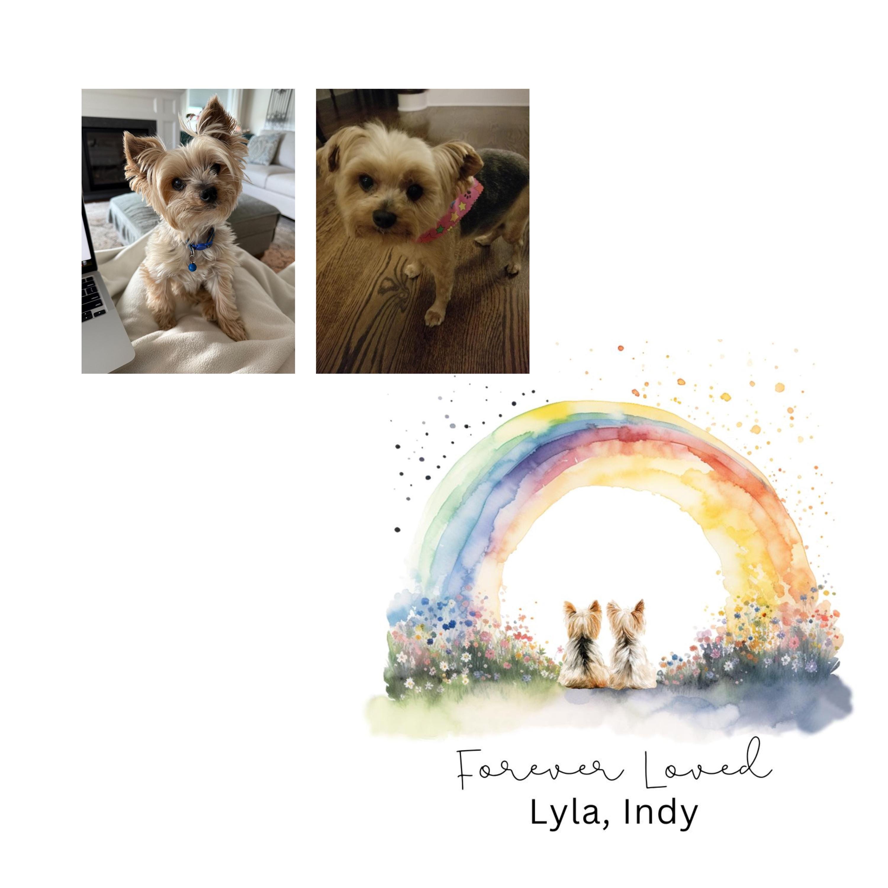 Personalized Pet Memorial Wall Art From Photo Rainbow Bridge Custom Dog ...