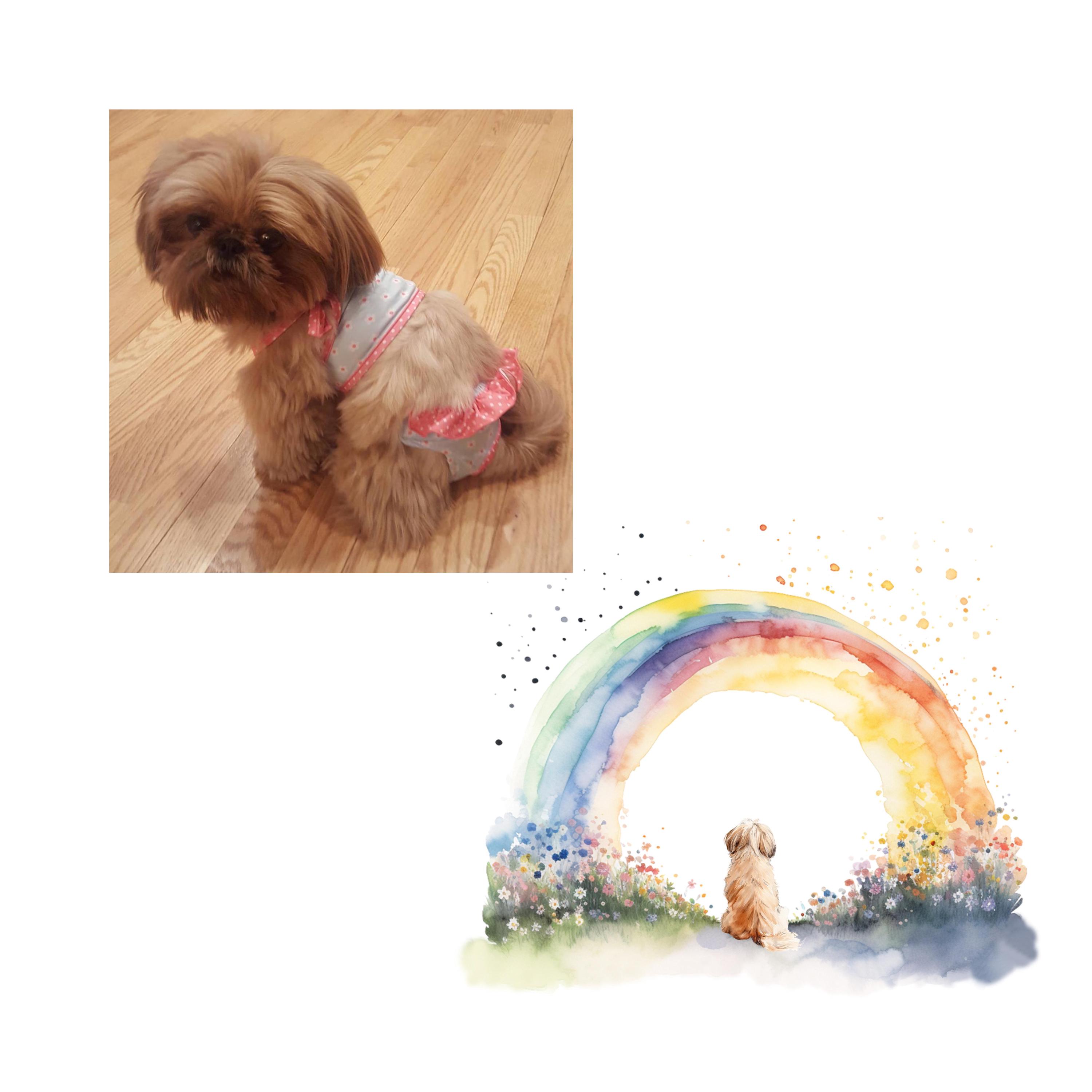Personalized Pet Memorial Wall Art From Photo Rainbow Bridge Custom Dog ...