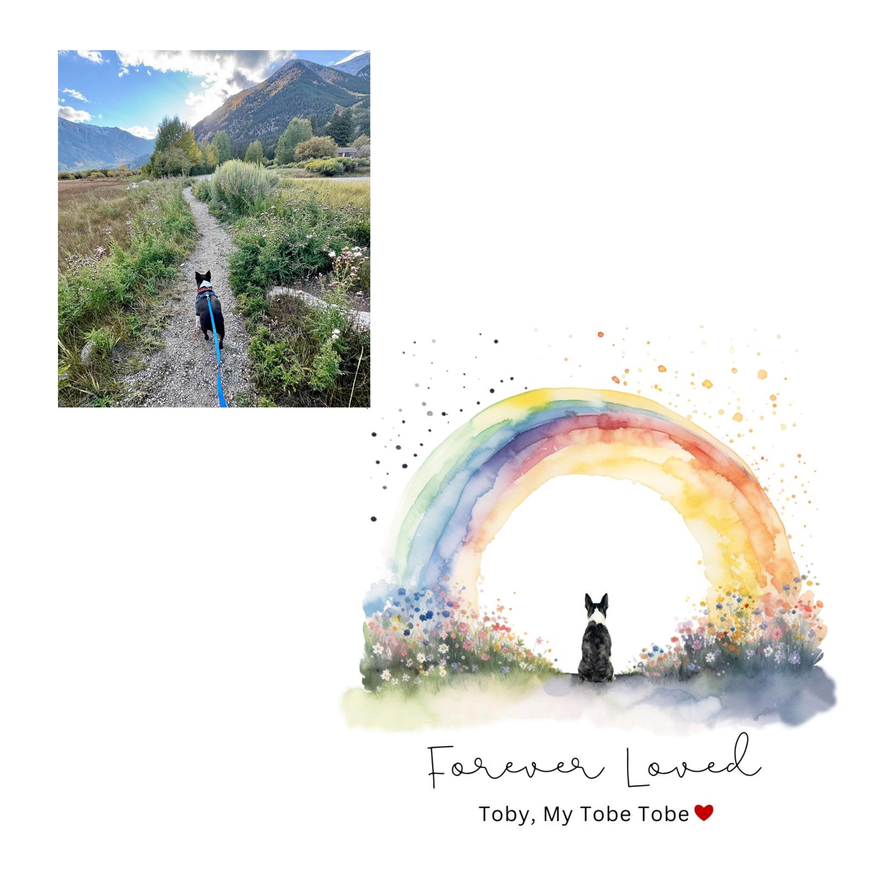 Personalized Pet Memorial Wall Art From Photo Rainbow Bridge Custom Dog ...