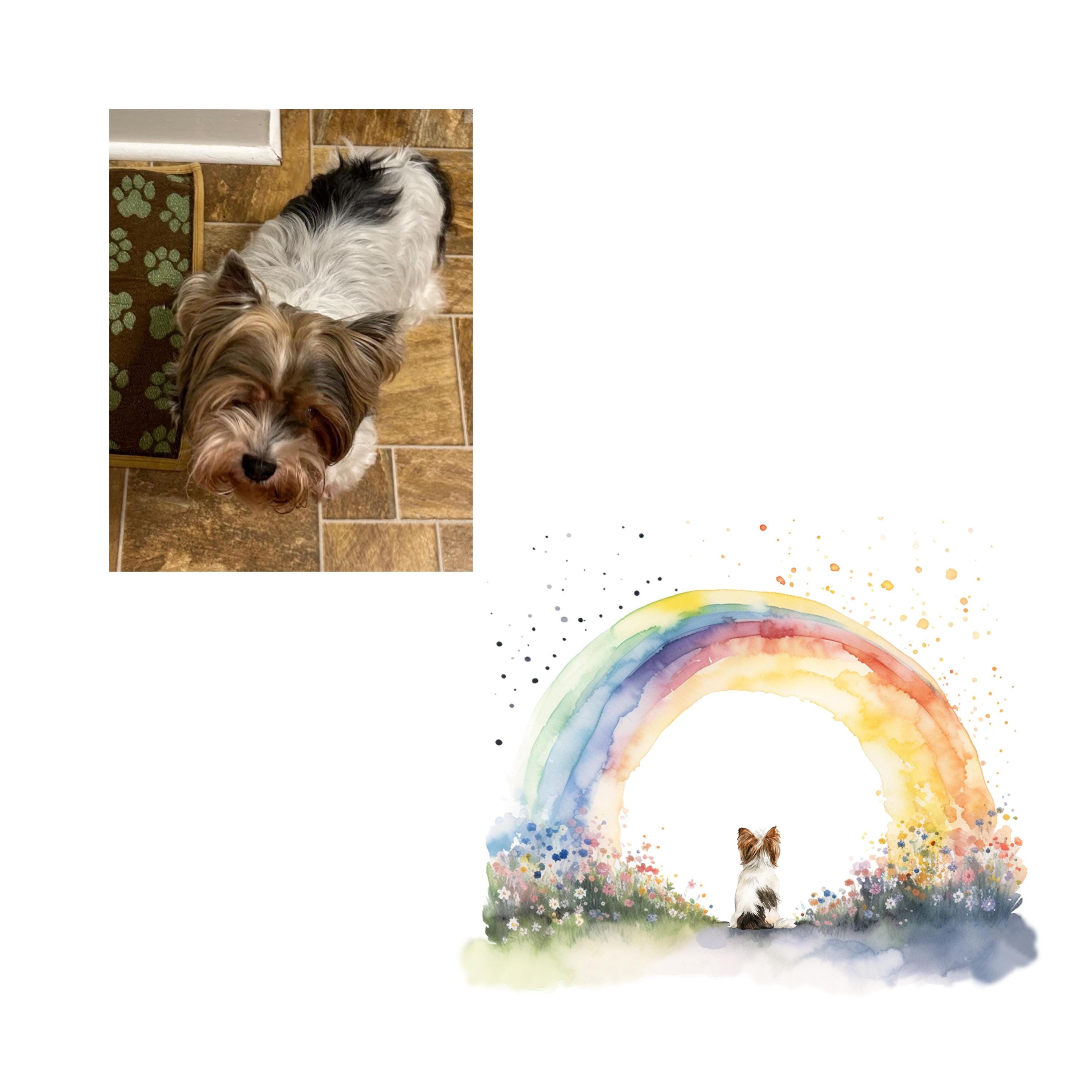 Personalized Pet Memorial Wall Art From Photo Rainbow Bridge Custom Dog ...