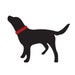 treatntail