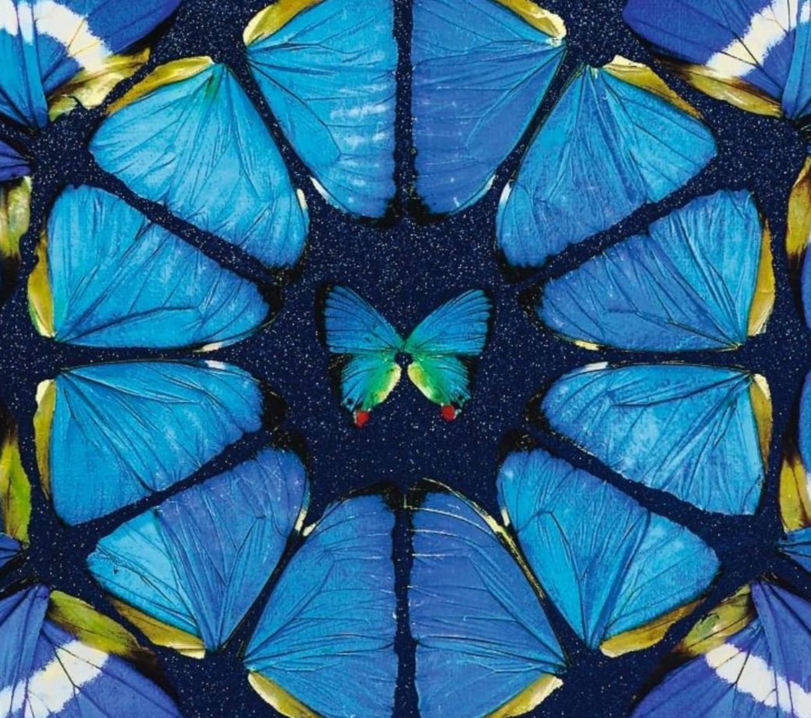 Damien Hirst 'butterfly Square Blue' Fine Art Etsy