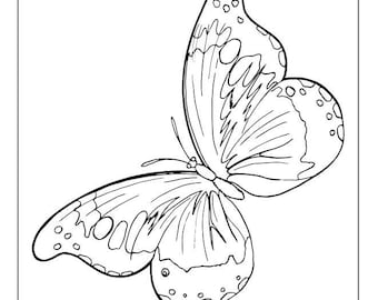 40 Butterfly Coloring Pages, 40 Printable Butterfly Coloring Pages for Children, Instant Digital Download