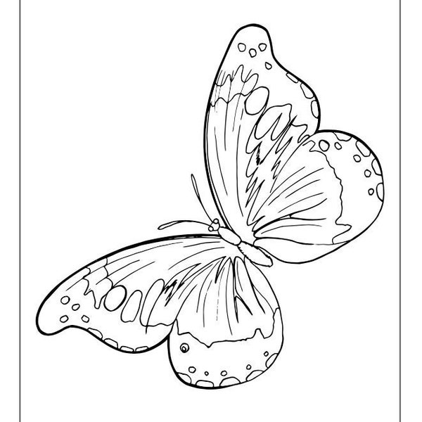40 Butterfly Coloring Pages, 40 Printable Butterfly Coloring Pages for Children, Instant Digital Download