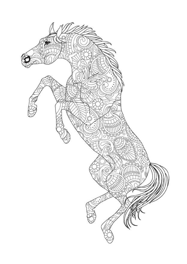 123 Mandala Animal Coloring Pages, 123 Printable Mandala Animal ...